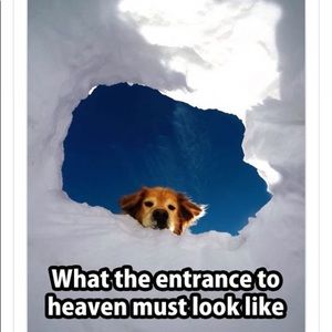 Meet your Posher, Judy